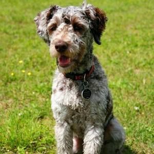 Meet your Posher, Beth